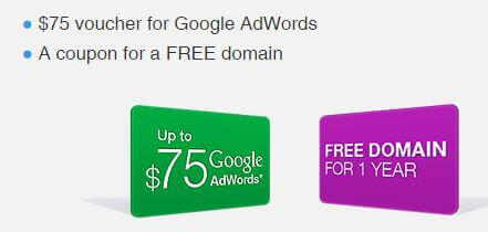 $75 Google Ads Voucher Free